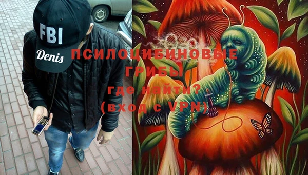 гидра Армянск
