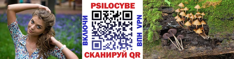 Галлюциногенные грибы GOLDEN TEACHER Белозерск